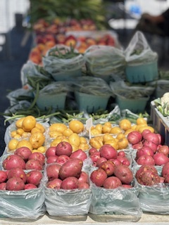 Blog