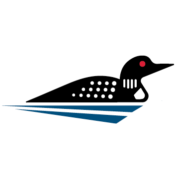 Central Adirondack Partnership for the 21st Century Inc logo